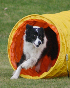 Amy tunnel